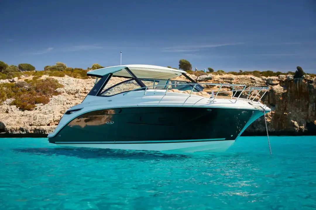 Sea Ray Sundancer 320