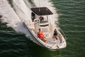 Thumbnail von Boston Whaler 250 Dauntless