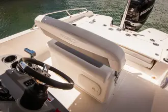 Thumbnail von Boston Whaler 250 Dauntless