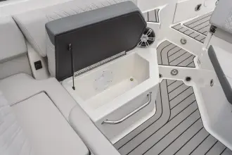 Thumbnail von Sea Ray SDX 250