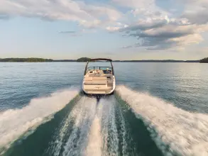 Thumbnail von Sea Ray SDX 250