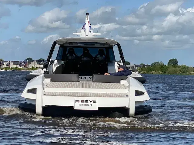 Thumbnail von Ribbon 45 Sc