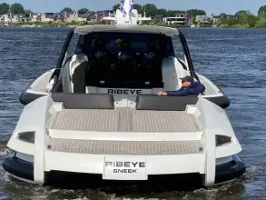 Thumbnail von Ribbon 45 Sc