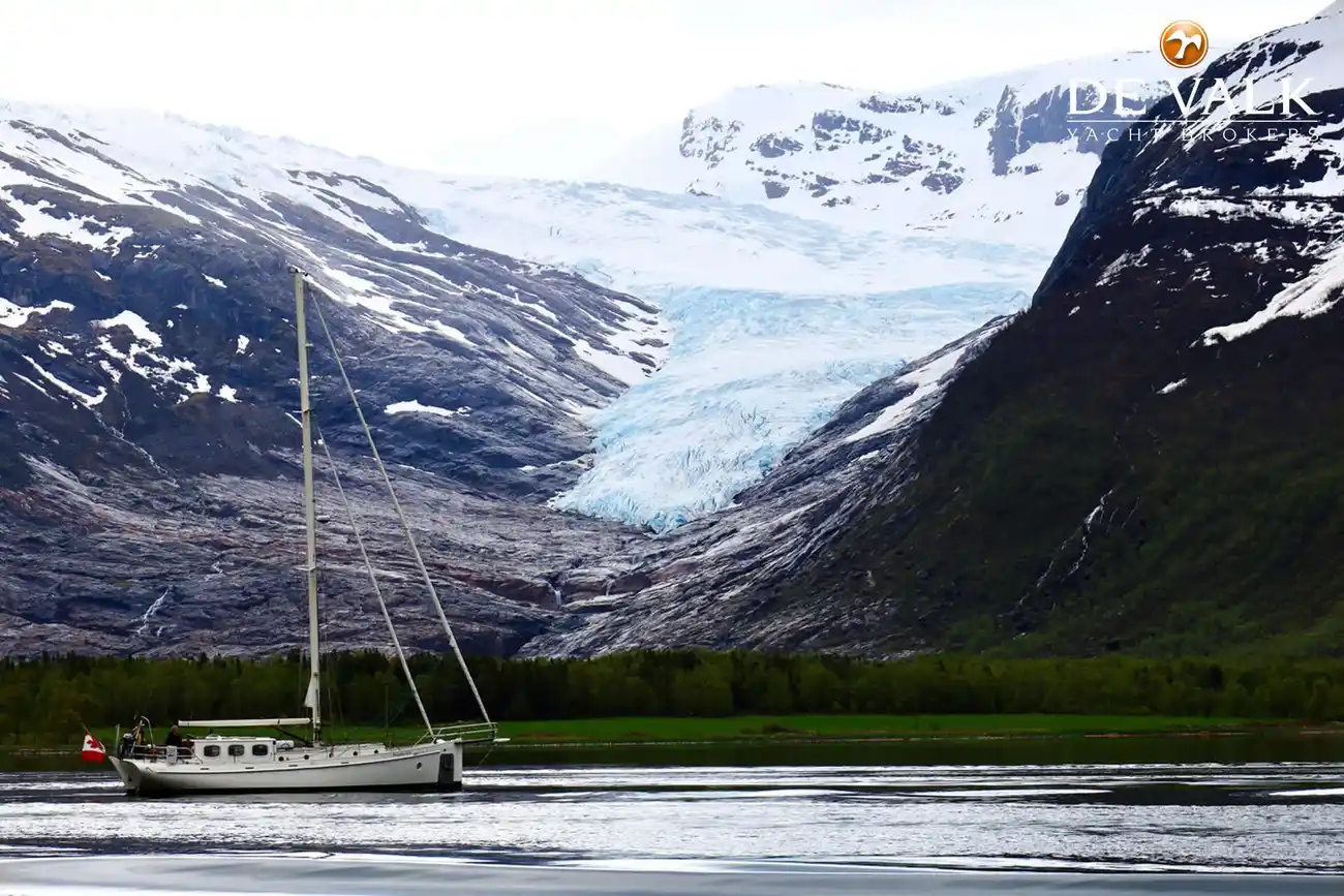 Thumbnail von Puffin 42