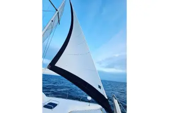 Thumbnail von Leopard 43 Powercat  TIME OUT