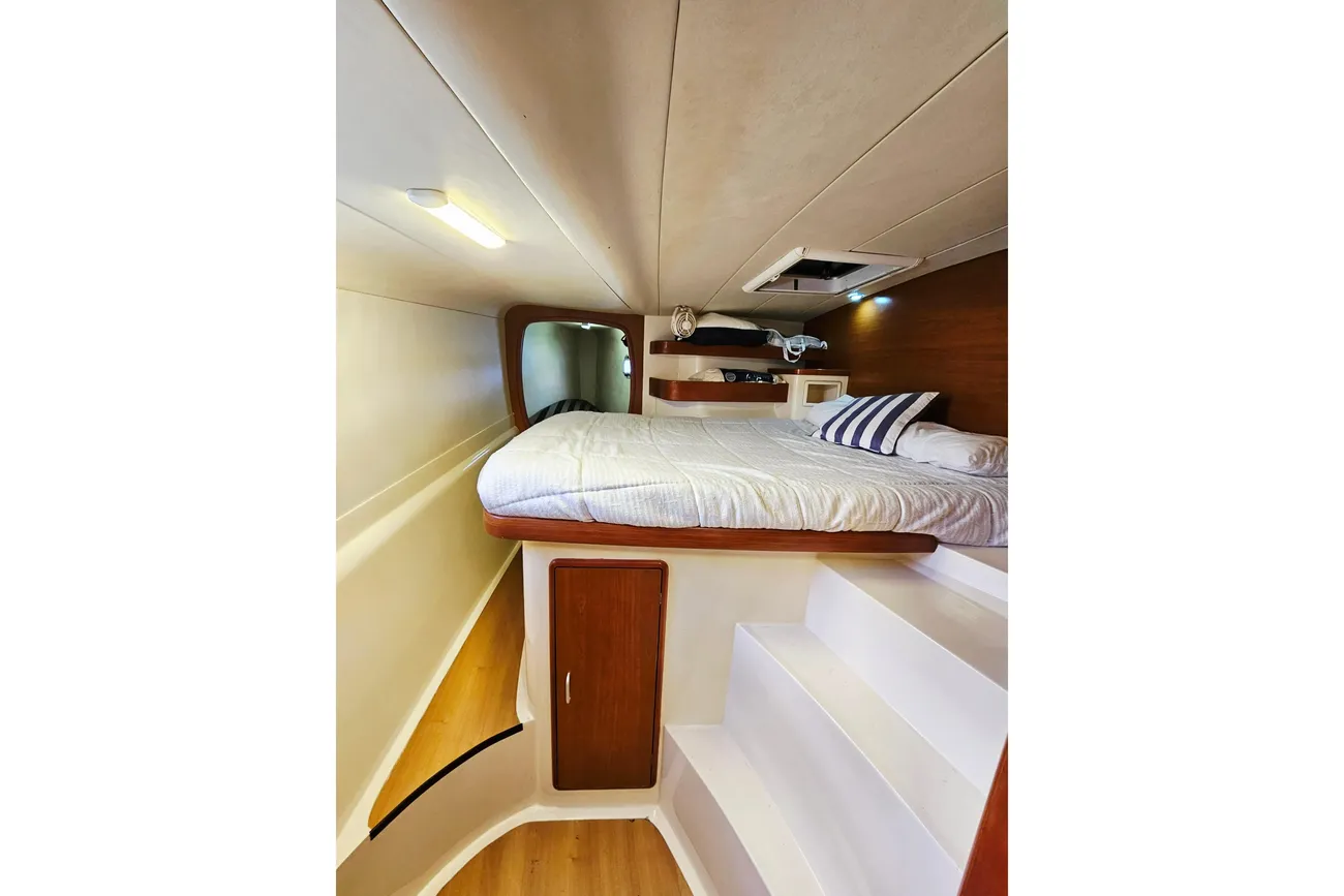 Thumbnail von Leopard 43 Powercat  TIME OUT