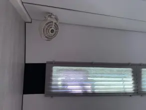 Thumbnail von Leopard 45