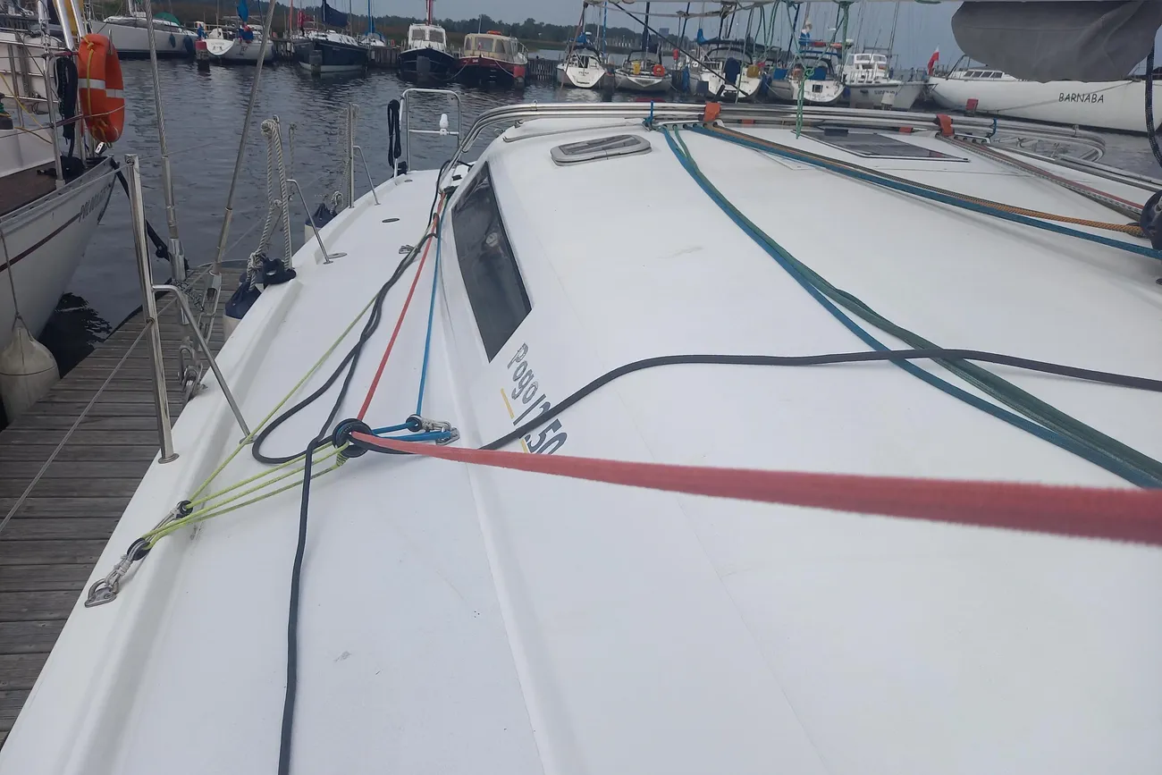 Thumbnail von Pogo 12.50