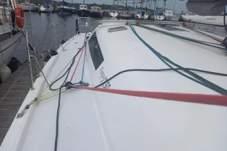 Thumbnail von Pogo 12.50