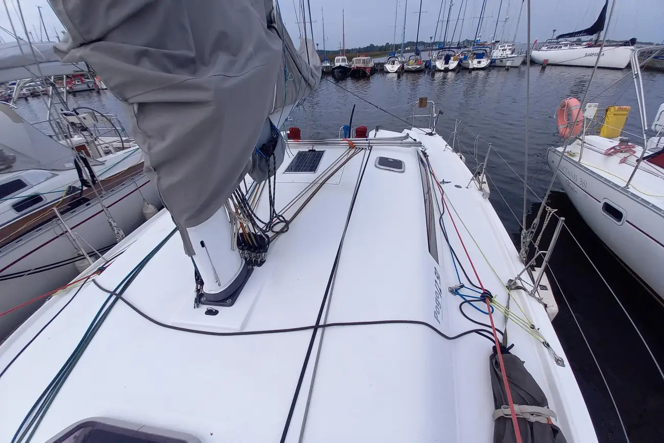 Thumbnail von Pogo 12.50