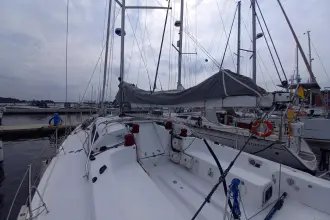 Thumbnail von Pogo 12.50