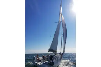 Thumbnail von Pogo 12.50