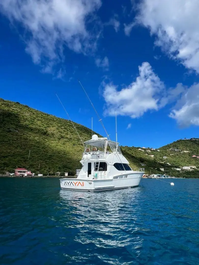 Thumbnail von Hatteras 50 Convertible