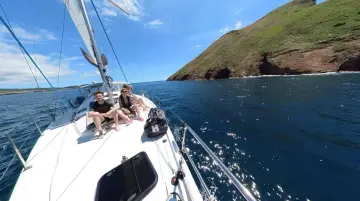Thumbnail von Elan Impression 50 AZORES HIGH
