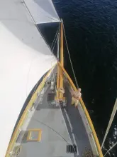 Thumbnail von Stal Komplex Gaff Cutter Steel Gaff Cutter