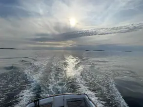 Thumbnail von Island Gypsy 32