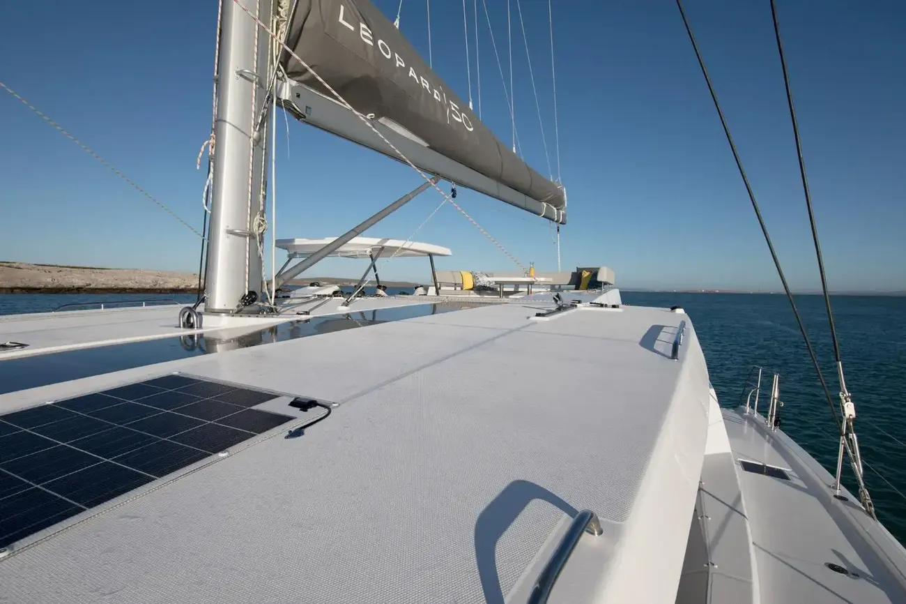 Thumbnail von Leopard 50