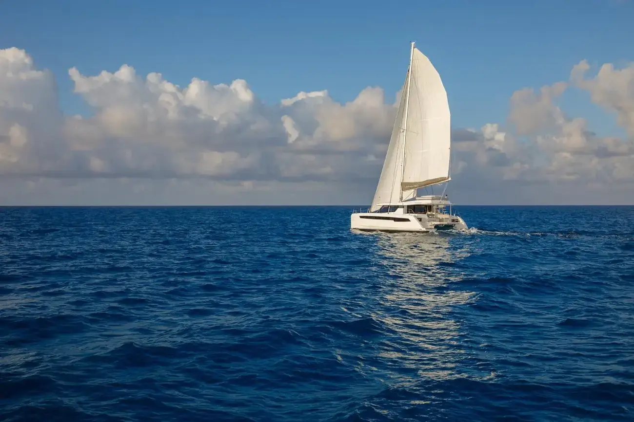 Thumbnail von Leopard 50