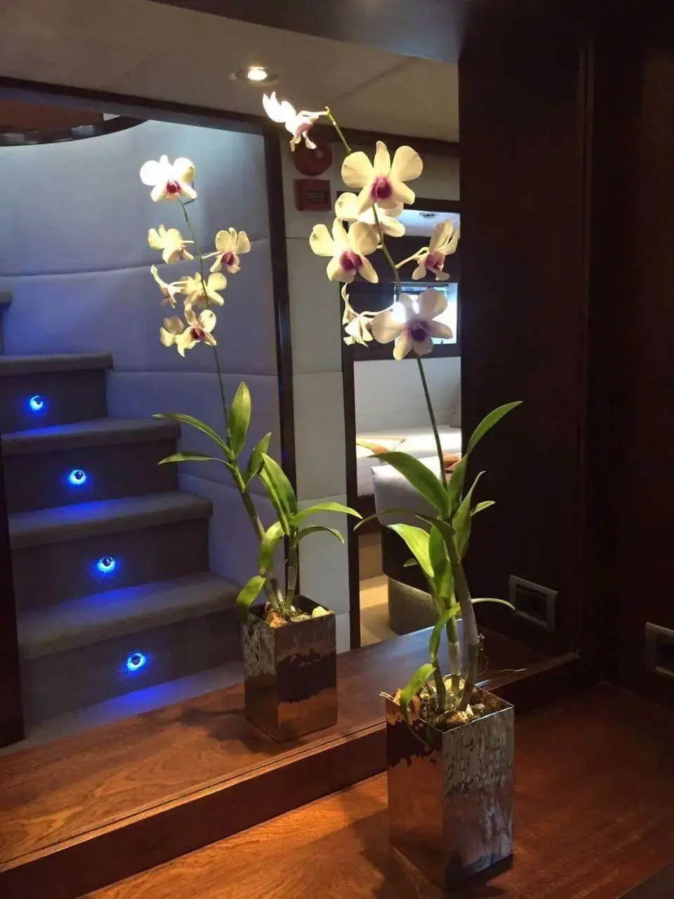 Thumbnail von Bilgin Tiago 100