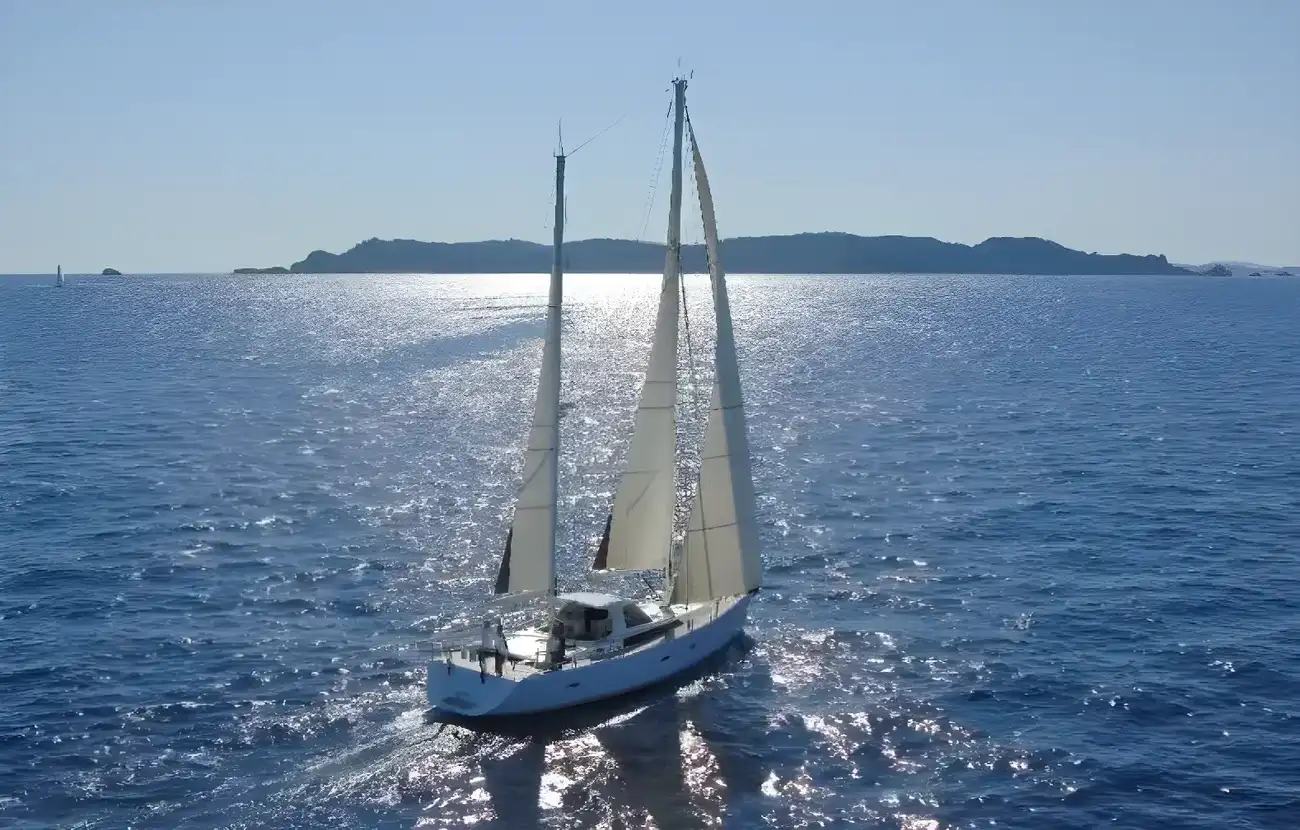 Thumbnail von Amel 55