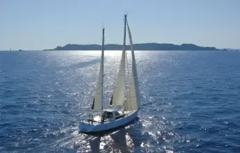 Thumbnail von Amel 55