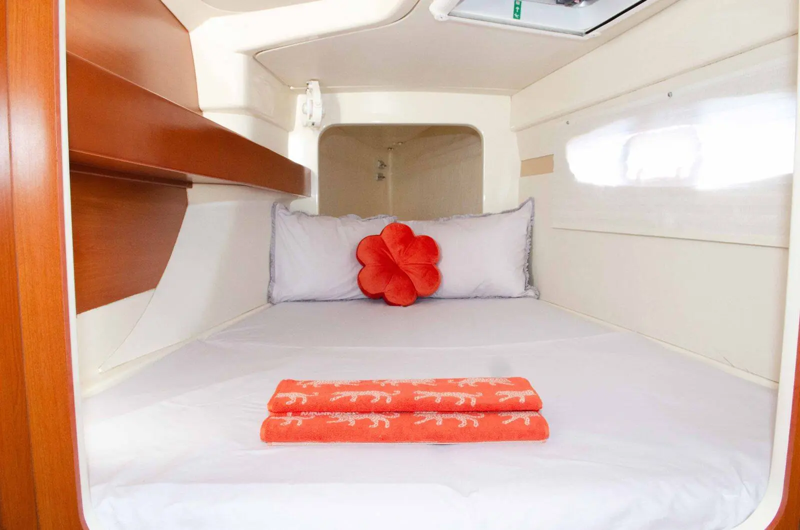 Thumbnail von Leopard 38