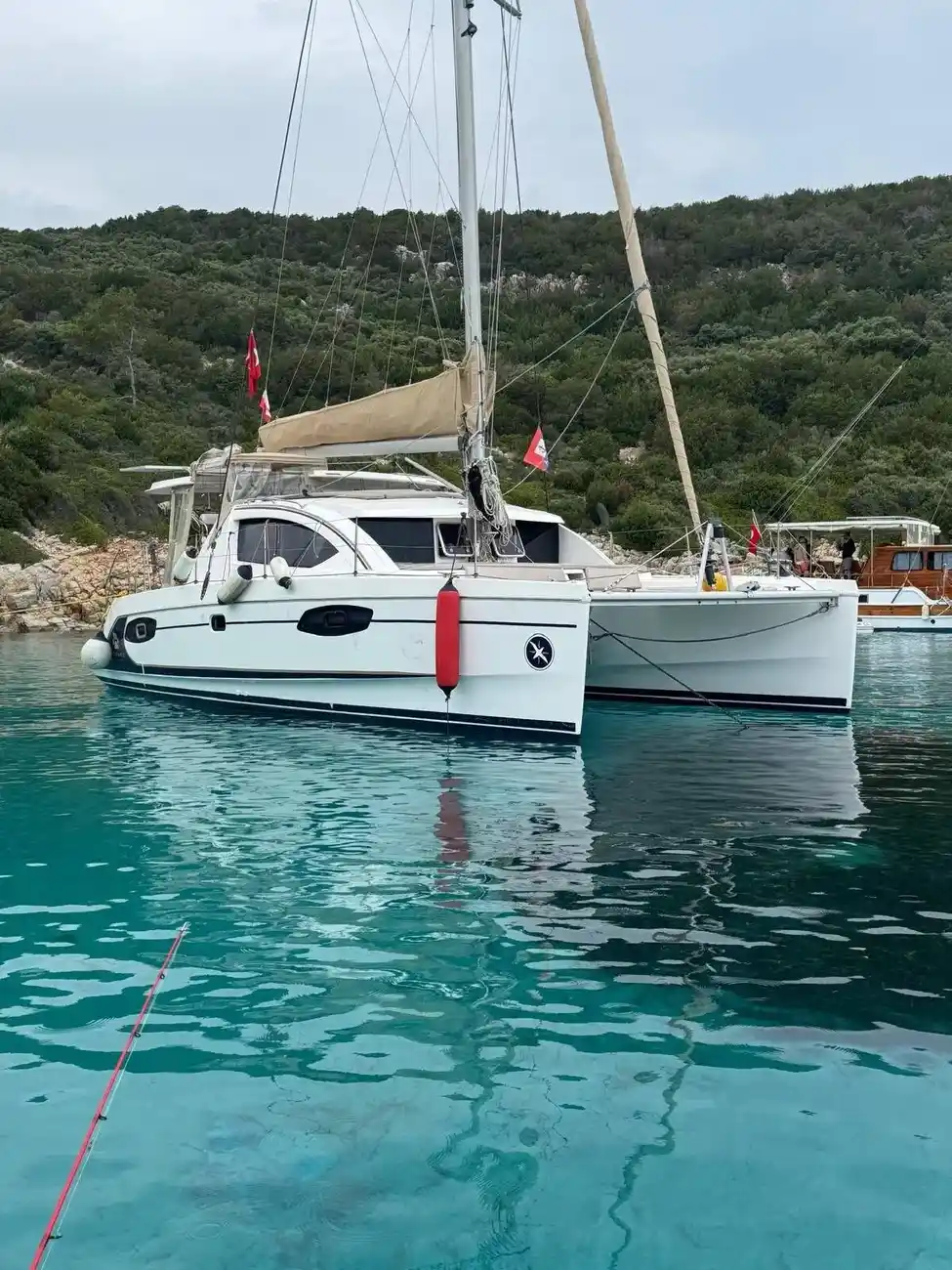 Thumbnail von Leopard 38