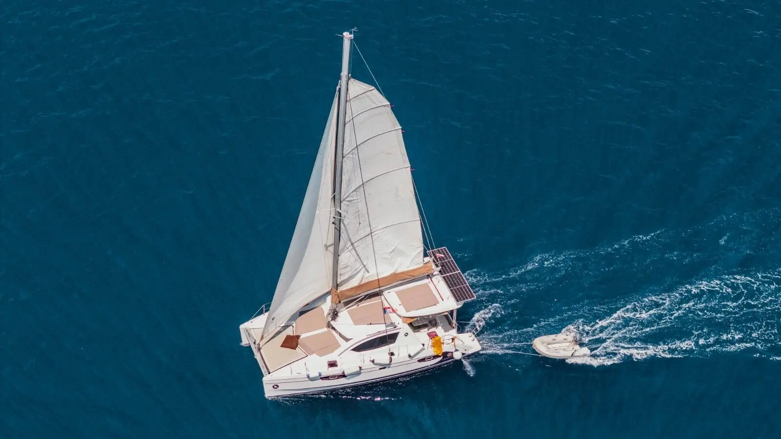 Thumbnail von Leopard 38