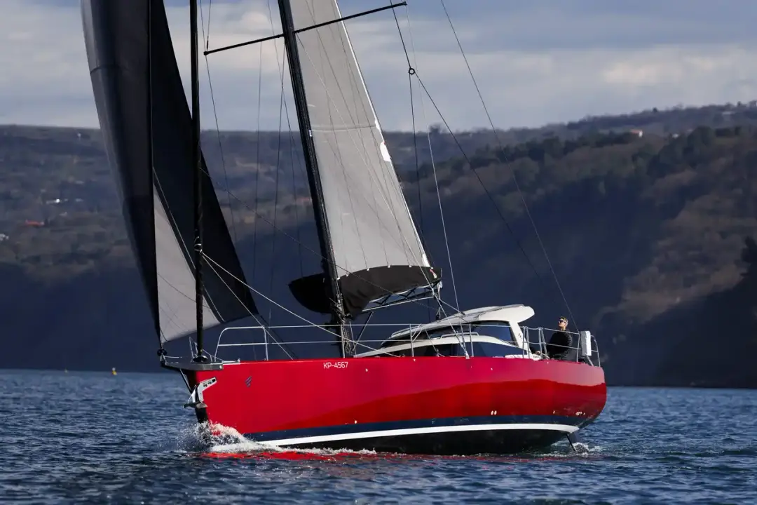 Pegasus 50 STEVE WONDER