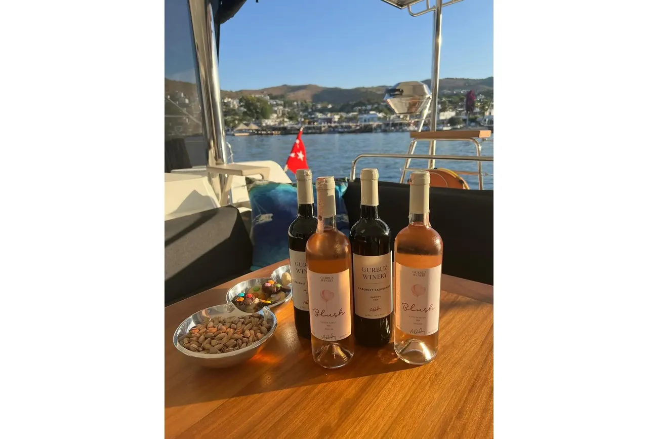 Thumbnail von Lagoon 52 Fly Chicago