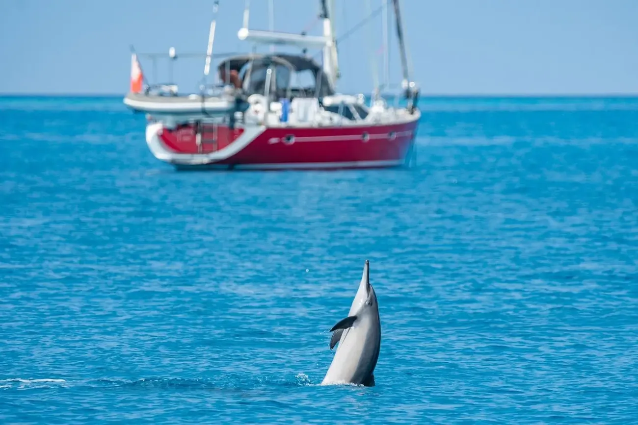 Thumbnail von Oyster 53 MAKING TIME