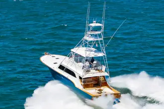 Thumbnail von Buddy Davis 61 Convertible