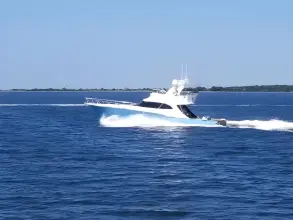 Thumbnail von Ritchie Howell 60 Sportfish