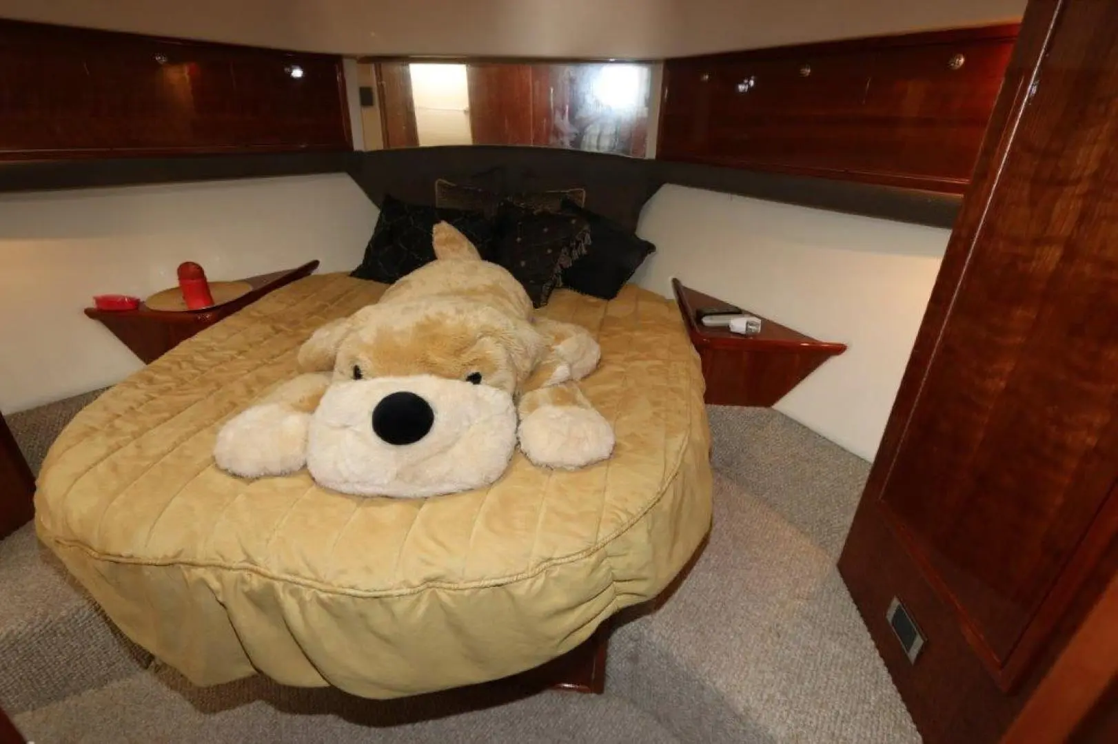 Thumbnail von Riviera 	Enclosed Flybridge 62