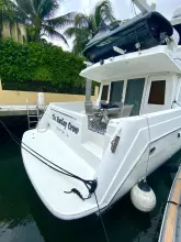 Thumbnail von Navigator 5700 Rival The Motley Crew