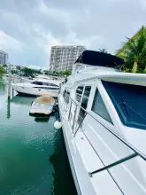 Thumbnail von Navigator 5700 Rival The Motley Crew