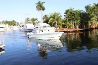 Thumbnail von Regulator 31