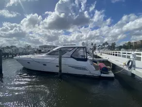 Thumbnail von Carver Trojan 440 Express Blessed