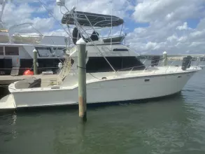 Thumbnail von Hatteras 42 Convertible