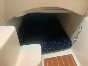 Thumbnail von World Cat 320 EC