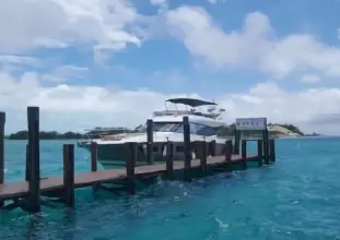 Thumbnail von Prestige 550 Proteus