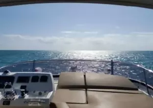 Thumbnail von Prestige 550 Proteus