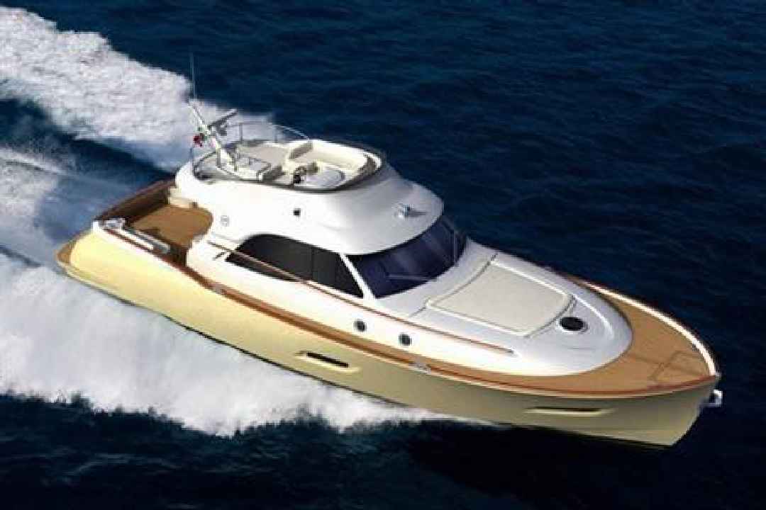 Mochi Craft Dolphin 54 Sun Top 