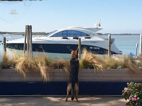 Thumbnail von Beneteau (FR) Monte Carlo 47