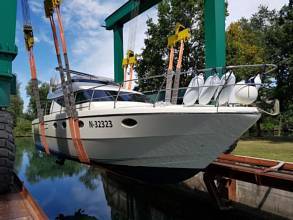 Thumbnail von Carnevali 42