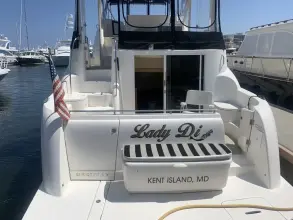 Thumbnail von Meridian 459 Motor Yacht Lady Di