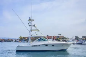 Thumbnail von Tiara Yachts 3600 Open CELTIC PRIDE