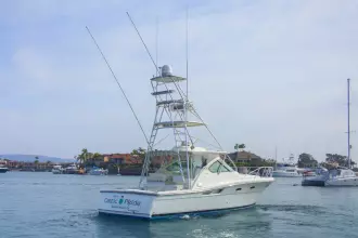 Thumbnail von Tiara Yachts 3600 Open CELTIC PRIDE