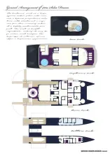 Thumbnail von Acury Spy Cat 42