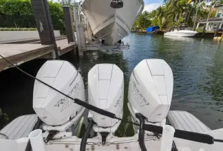 Thumbnail von Intrepid 438 Evolution Salty Dog